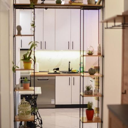 Garden Apartment - Oaza U Centru Grada Нови-Сад Экстерьер фото