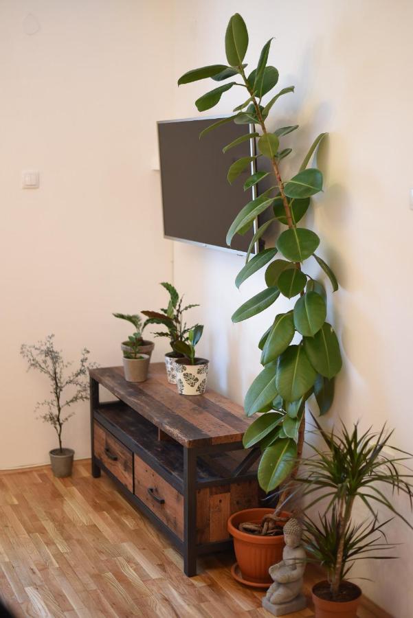 Garden Apartment - Oaza U Centru Grada Нови-Сад Экстерьер фото