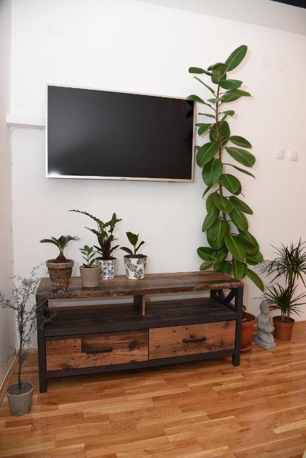 Garden Apartment - Oaza U Centru Grada Нови-Сад Экстерьер фото