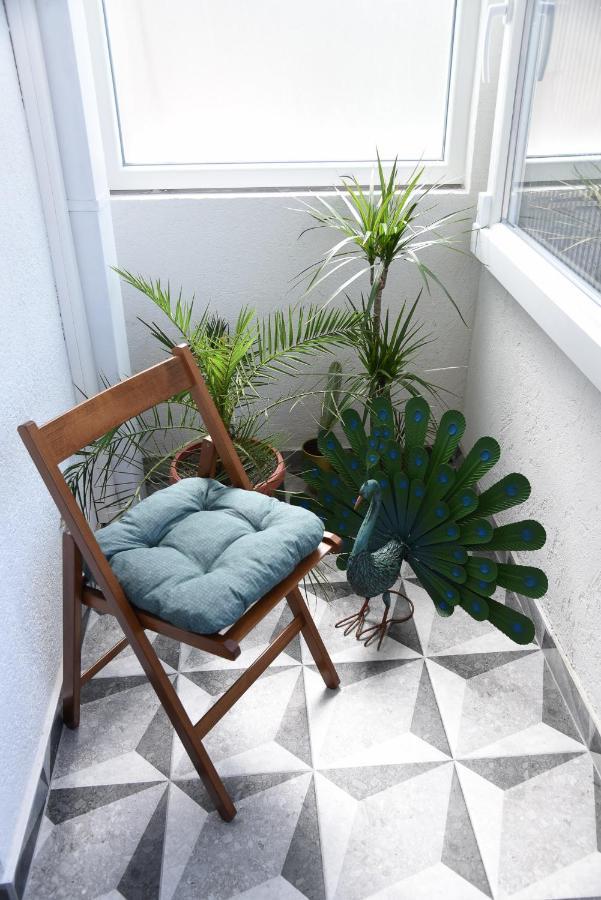 Garden Apartment - Oaza U Centru Grada Нови-Сад Экстерьер фото